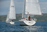 halcyon 3610c whyw16 mon 800 2407w